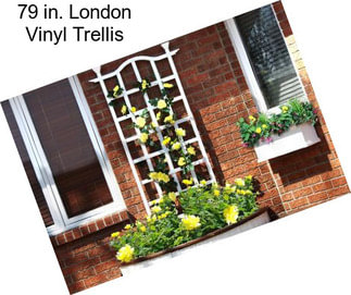 79 in. London Vinyl Trellis