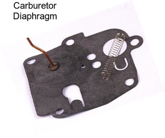 Carburetor Diaphragm