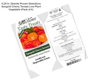 4.25 in. Grande Proven Selections Sungold Cherry Tomato Live Plant Vegetable (Pack of 4)