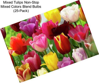 Mixed Tulips Non-Stop Mixed Colors Blend Bulbs (25-Pack)