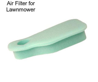 Air Filter for Lawnmower