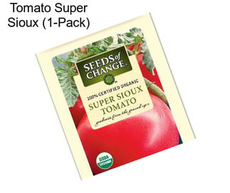 Tomato Super Sioux (1-Pack)