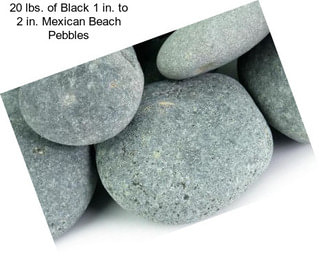 20 lbs. of Black 1 in. to 2 in. Mexican Beach Pebbles