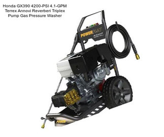 Honda GX390 4200-PSI 4.1-GPM Terrex Annovi Reverberi Triplex Pump Gas Pressure Washer