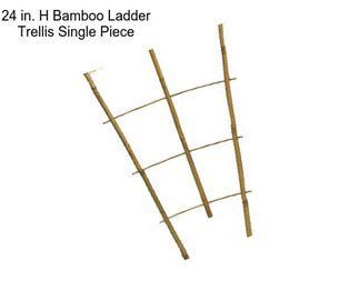 24 in. H Bamboo Ladder Trellis Single Piece