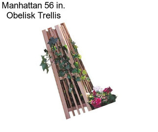 Manhattan 56 in. Obelisk Trellis