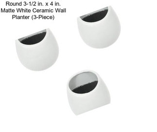 Round 3-1/2 in. x 4 in. Matte White Ceramic Wall Planter (3-Piece)