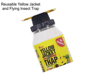 Reusable Yellow Jacket and Flying Insect Trap