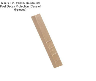 6 in. x 6 in. x 60 in. In-Ground Post Decay Protection (Case of 6-pieces)