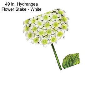 49 in. Hydrangea Flower Stake - White