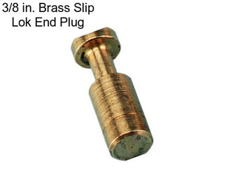 3/8 in. Brass Slip Lok End Plug