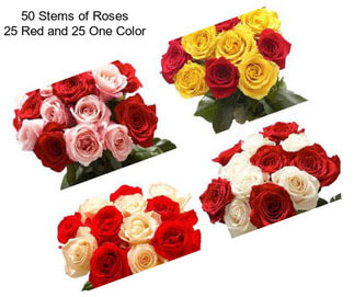 50 Stems of Roses 25 Red and 25 One Color