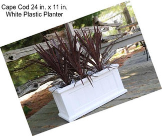 Cape Cod 24 in. x 11 in. White Plastic Planter