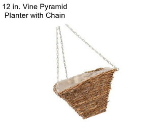12 in. Vine Pyramid Planter with Chain