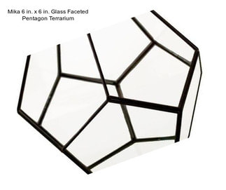 Mika 6 in. x 6 in. Glass Faceted Pentagon Terrarium