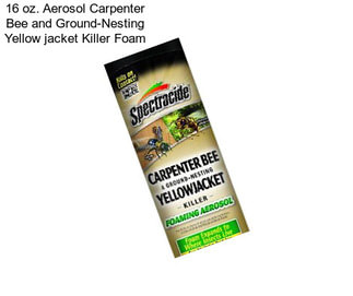 16 oz. Aerosol Carpenter Bee and Ground-Nesting Yellow jacket Killer Foam