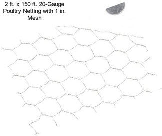 2 ft. x 150 ft. 20-Gauge Poultry Netting with 1 in. Mesh