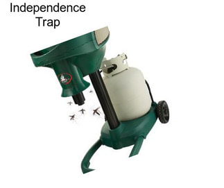 Independence Trap