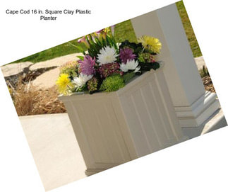 Cape Cod 16 in. Square Clay Plastic Planter