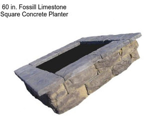 60 in. Fossill Limestone Square Concrete Planter