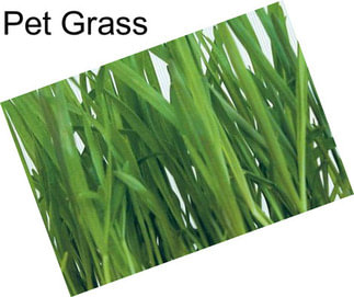 Pet Grass