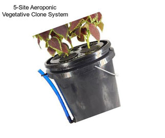 5-Site Aeroponic Vegetative Clone System