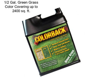 1/2 Gal. Green Grass Color Covering up to 2400 sq. ft.