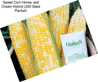 Sweet Corn Honey and Cream Hybrid (250 Seed Packet)