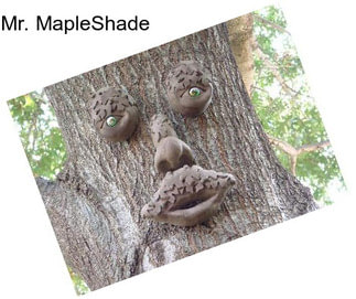 Mr. MapleShade