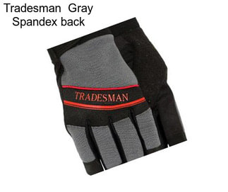 Tradesman  Gray Spandex back