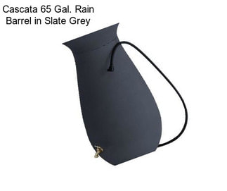 Cascata 65 Gal. Rain Barrel in Slate Grey