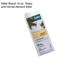 Safer Brand 14 oz. Wasp and Hornet Aerosol Killer