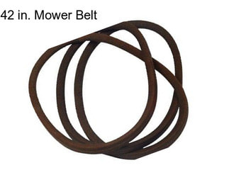 42 in. Mower Belt