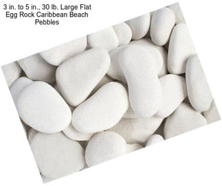 3 in. to 5 in., 30 lb. Large Flat Egg Rock Caribbean Beach Pebbles
