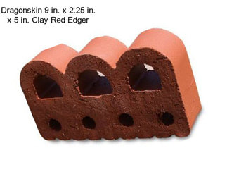 Dragonskin 9 in. x 2.25 in. x 5 in. Clay Red Edger