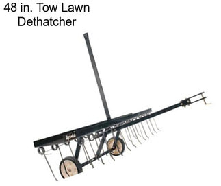 48 in. Tow Lawn Dethatcher