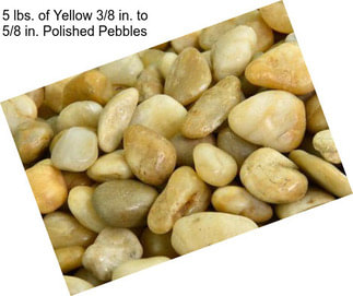 5 lbs. of Yellow 3/8 in. to 5/8 in. Polished Pebbles