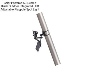 Solar Powered 50-Lumen Black Outdoor Integrated LED Adjustable Flagpole Spot Light