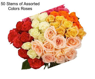 50 Stems of Assorted Colors Roses