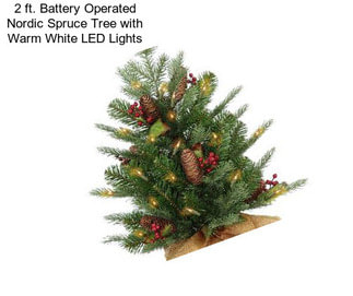 2 ft. Battery Operated Nordic Spruce Tree with Warm White LED Lights