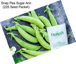 Snap Pea Sugar Ann (225 Seed Packet)