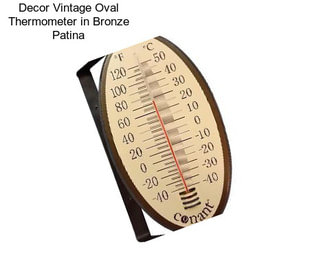 Decor Vintage Oval Thermometer in Bronze Patina