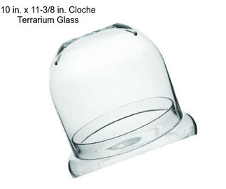 10 in. x 11-3/8 in. Cloche Terrarium Glass
