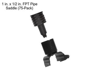 1 in. x 1/2 in. FPT Pipe Saddle (75-Pack)