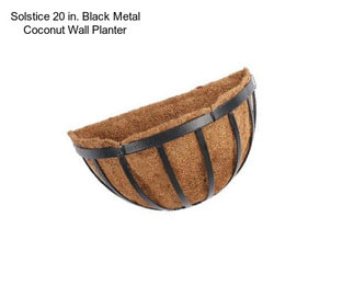 Solstice 20 in. Black Metal Coconut Wall Planter