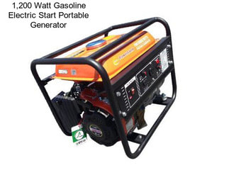 1,200 Watt Gasoline Electric Start Portable Generator