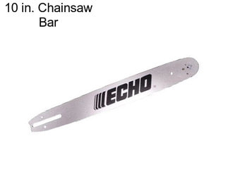 10 in. Chainsaw Bar