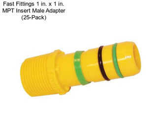 Fast Fittings 1 in. x 1 in. MPT Insert Male Adapter (25-Pack)