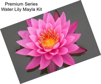 Premium Series Water Lily Mayla Kit