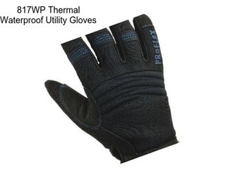 817WP Thermal Waterproof Utility Gloves